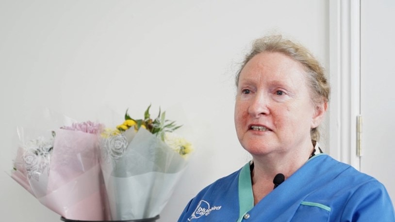 My Bluebird Story - Teresa Healy