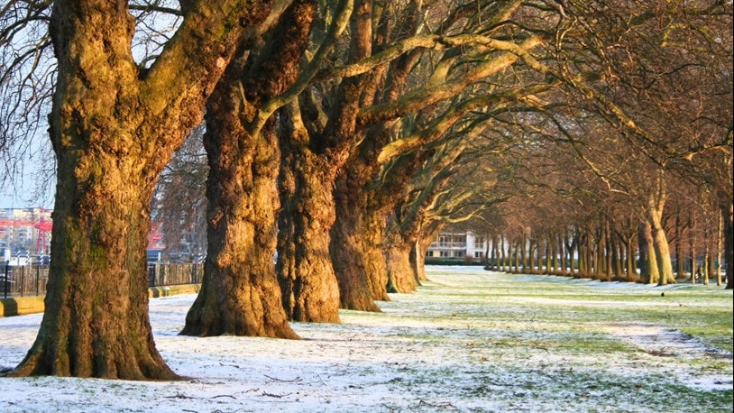 Wandsworth park after the snow - UK