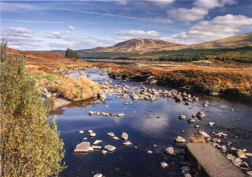 ayrshire