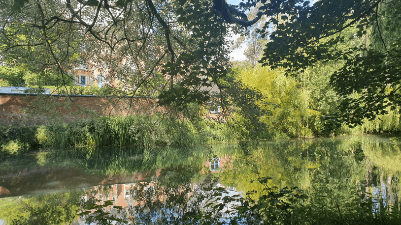 Reflections on the Malmesbury river