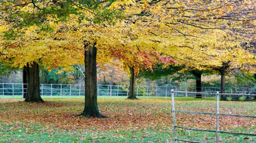 LP Local Area Harborne
