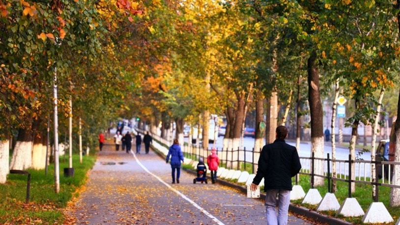 Autumn Street Park