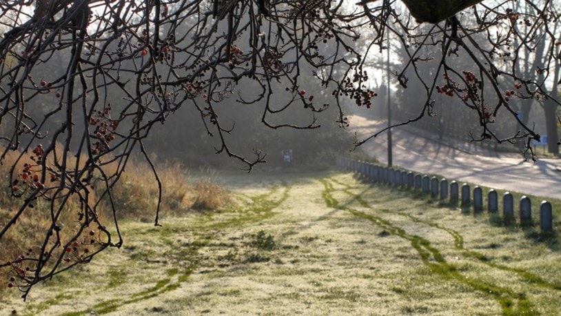 Mitcham Cranmer Green Nature Reserve