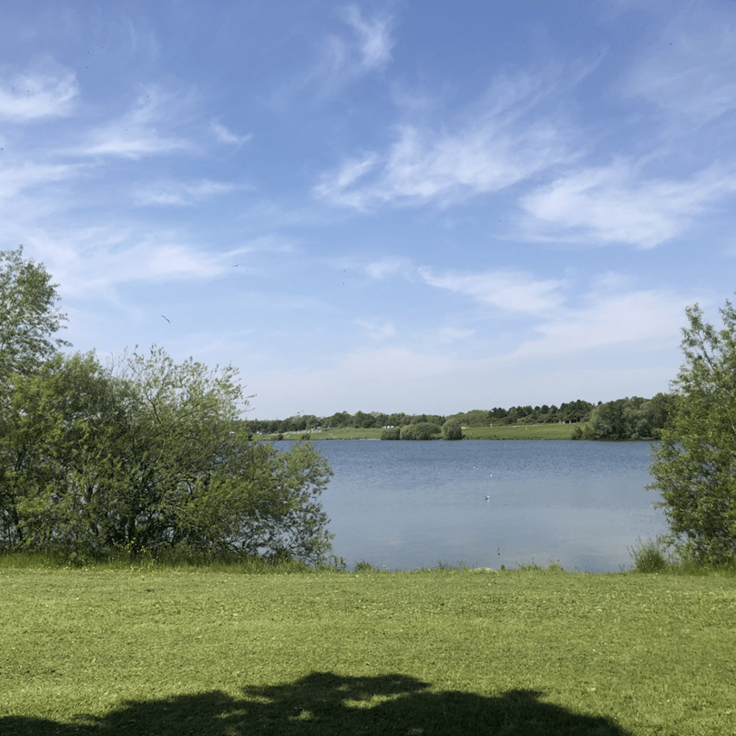 Pugneys