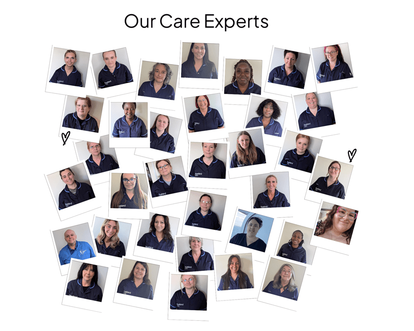 Care Experts