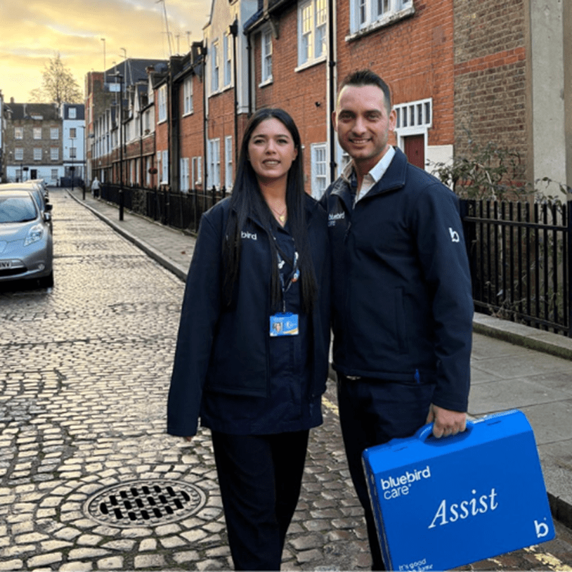 Home Care Development Team in Westminster