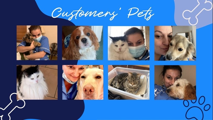 Collage of carers with customers’ dogs and cats, celebrating connection through care.