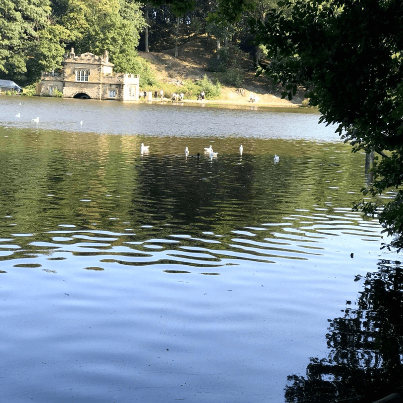 Newmillerdam, County Park, Wakefield